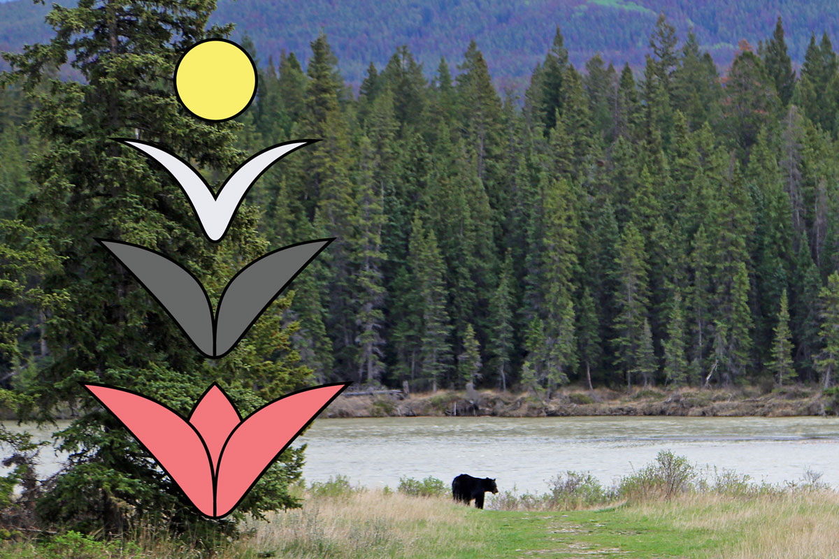 Paysage forestier avec ours et représentation symbolique d’une fleur